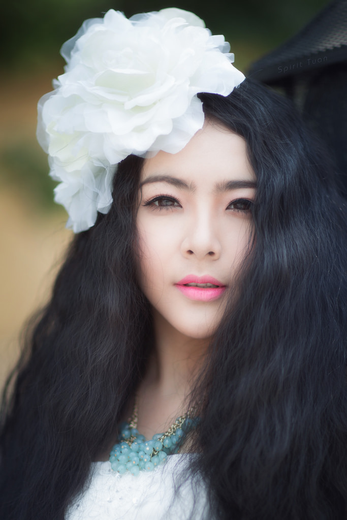 玫瑰小鸟芍药